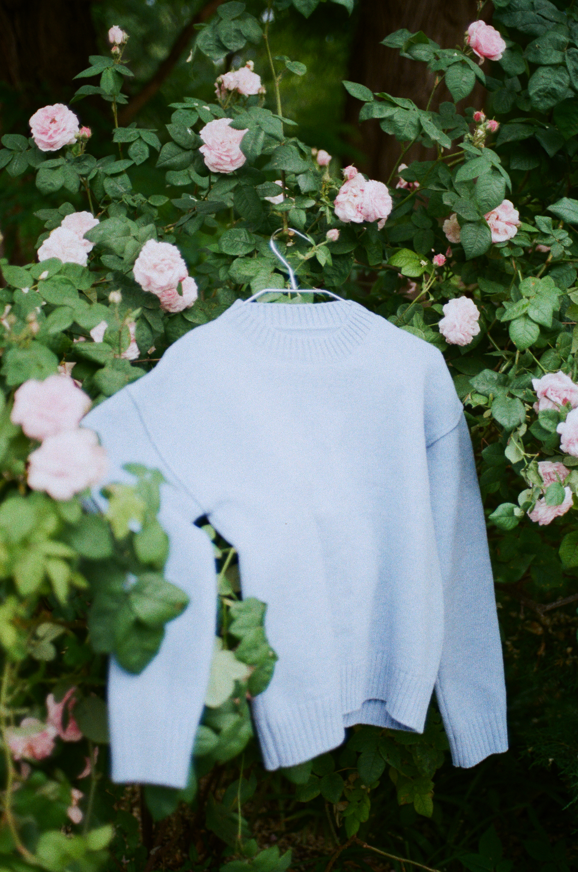 NEW IN