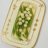 Pani Rectangular Plate