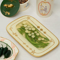 Pani Rectangular Plate