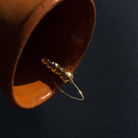 Kolosinnia Brooch