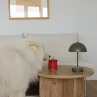 Red Candle