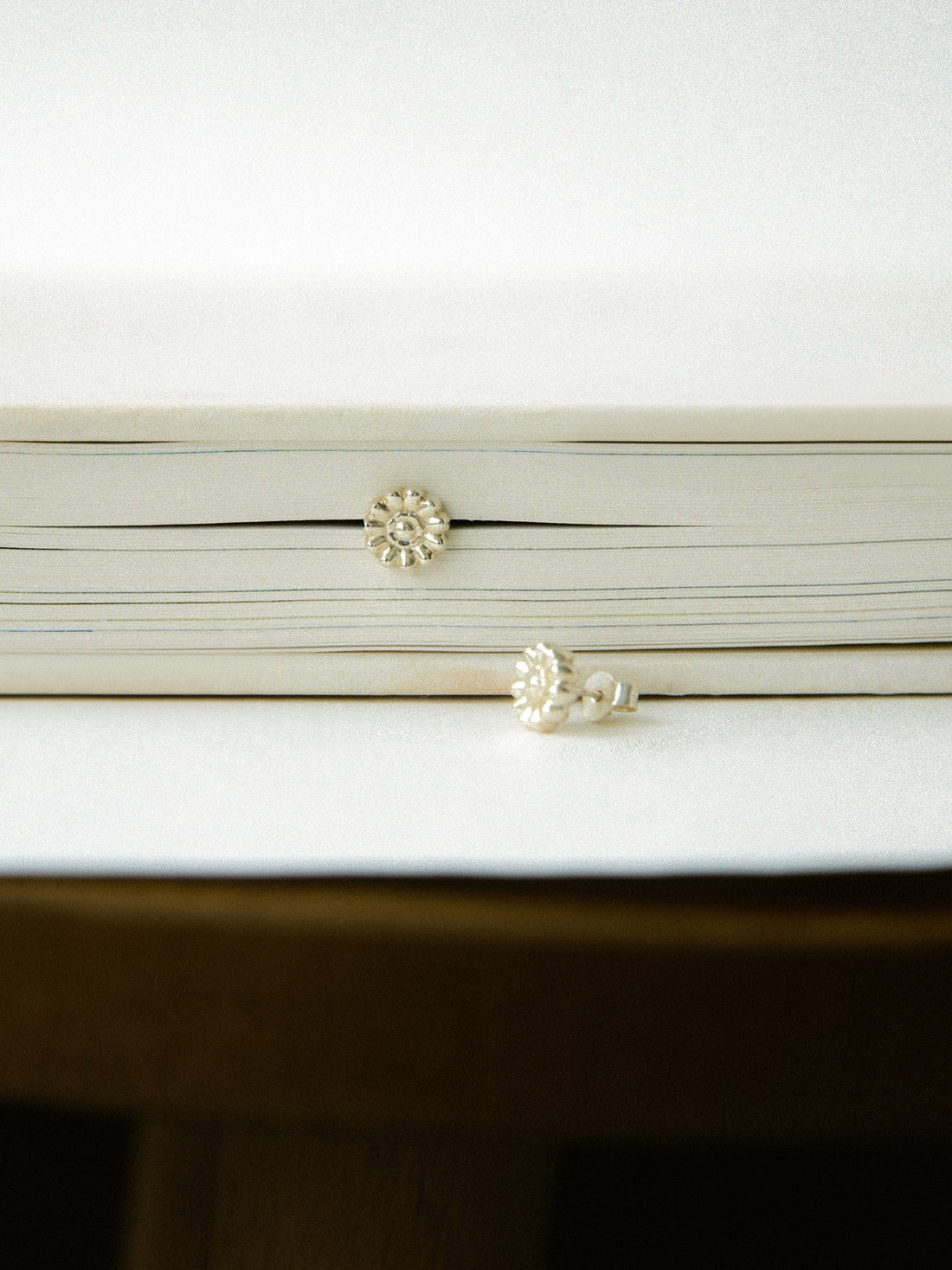 Earrings Kvitka in silver