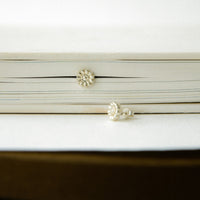 Earrings Kvitka in silver