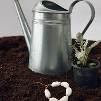 Beans Bracelet in off-white