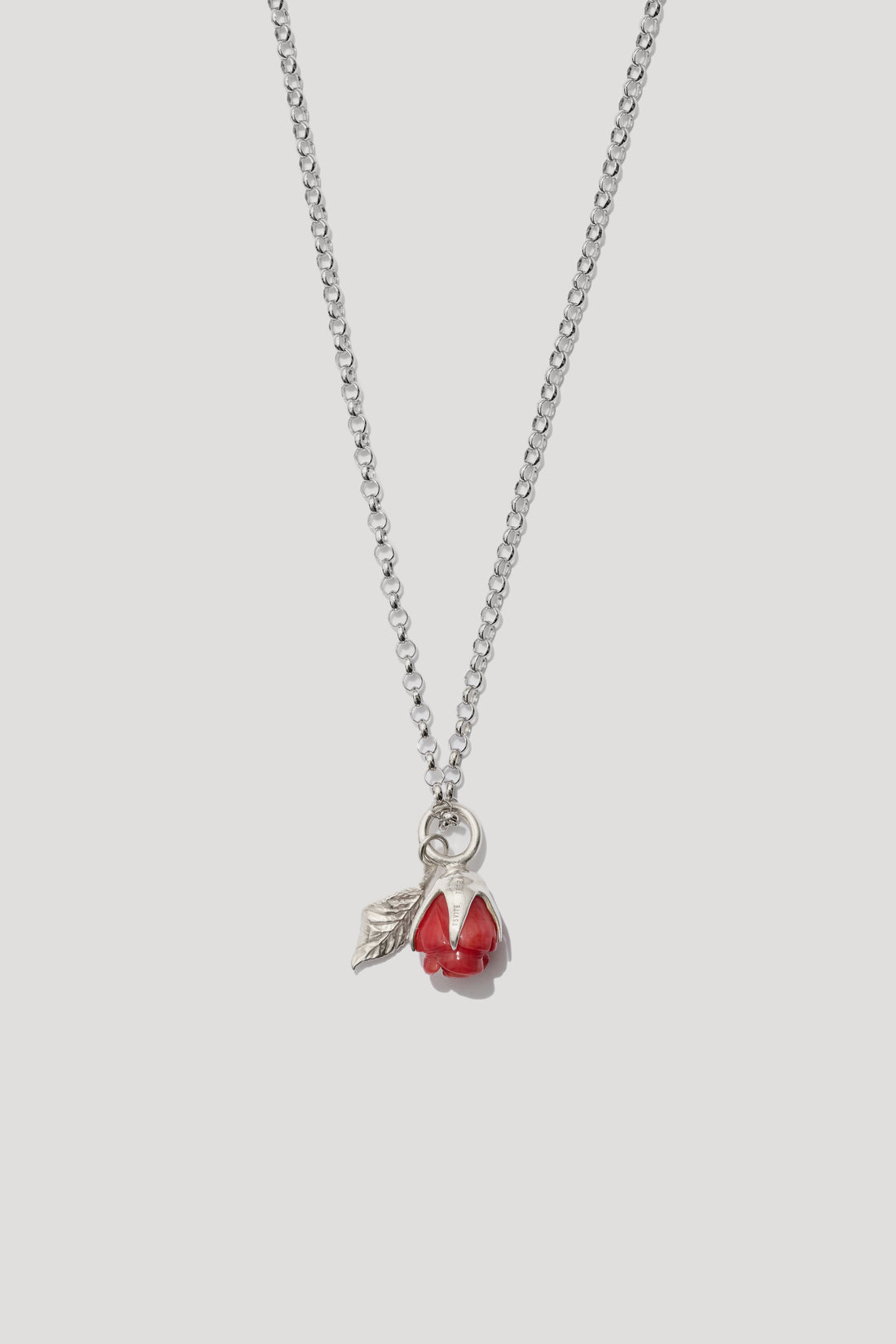 Rosarium Pendant on a silver chain