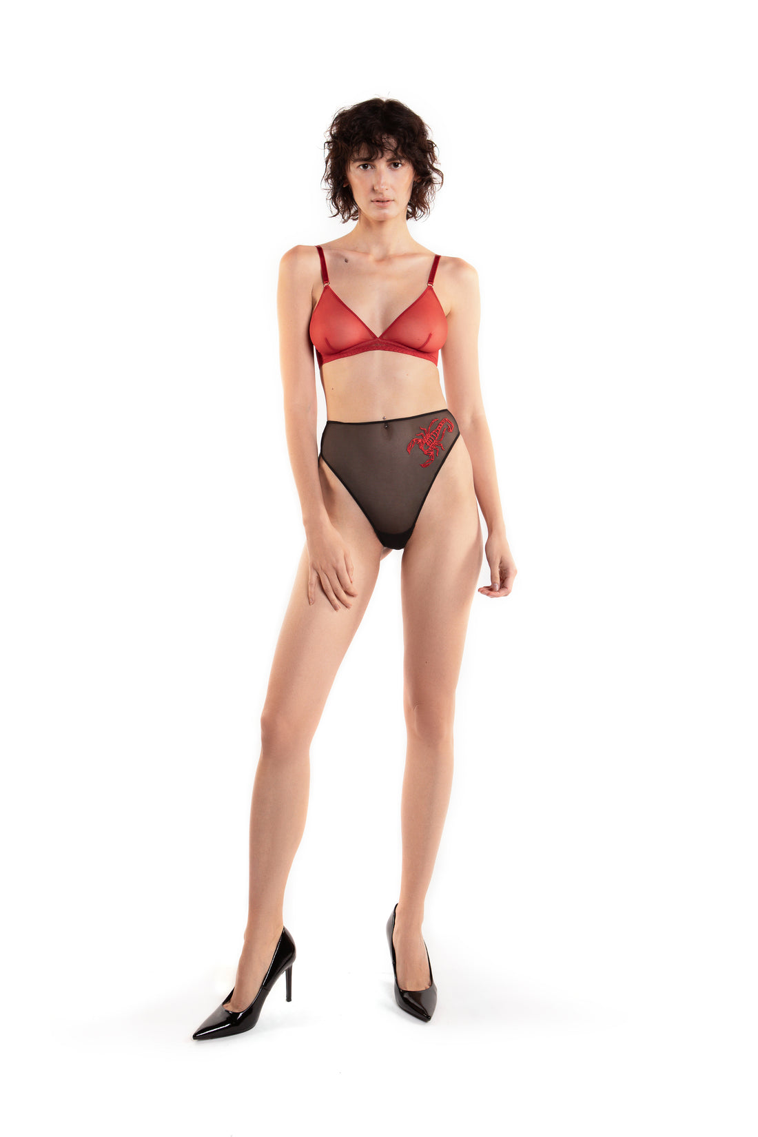 Scorpio brief red