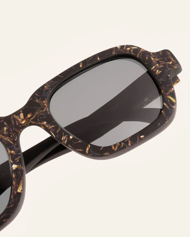 Brade Krasa Eyewear