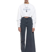 Asymmetric Jeans in grey