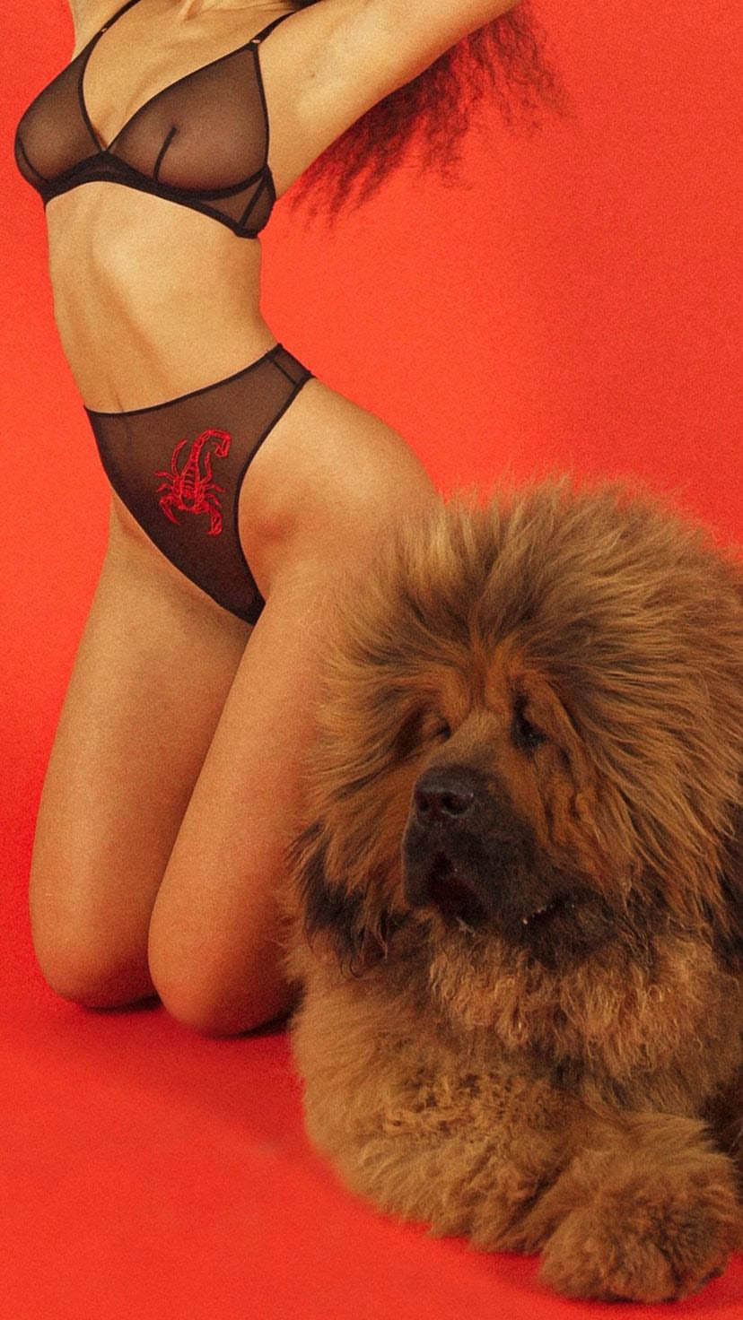 Scorpio brief red