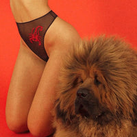 Scorpio brief red