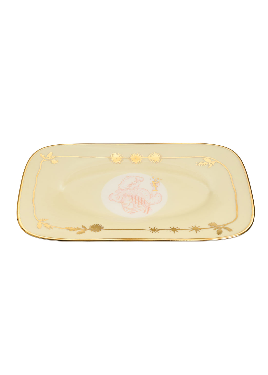 Pani Rectangular Plate