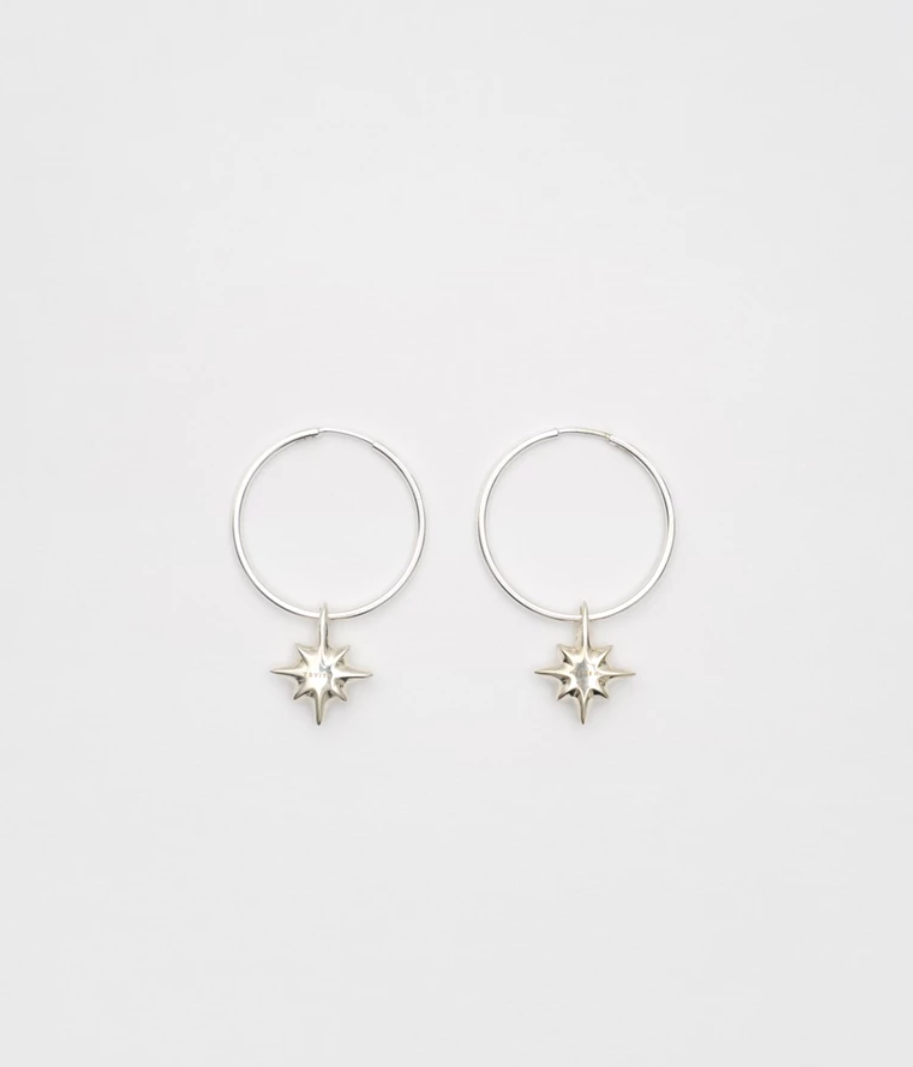 Drimota Earrings in Silver