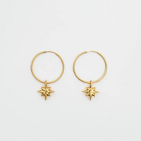 Drimota Earrings in gold