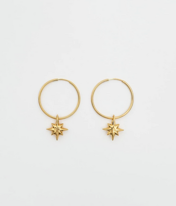 Drimota Earrings in gold