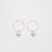 Drimota Earrings in Silver