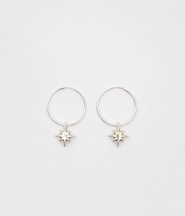 Drimota Earrings in Silver