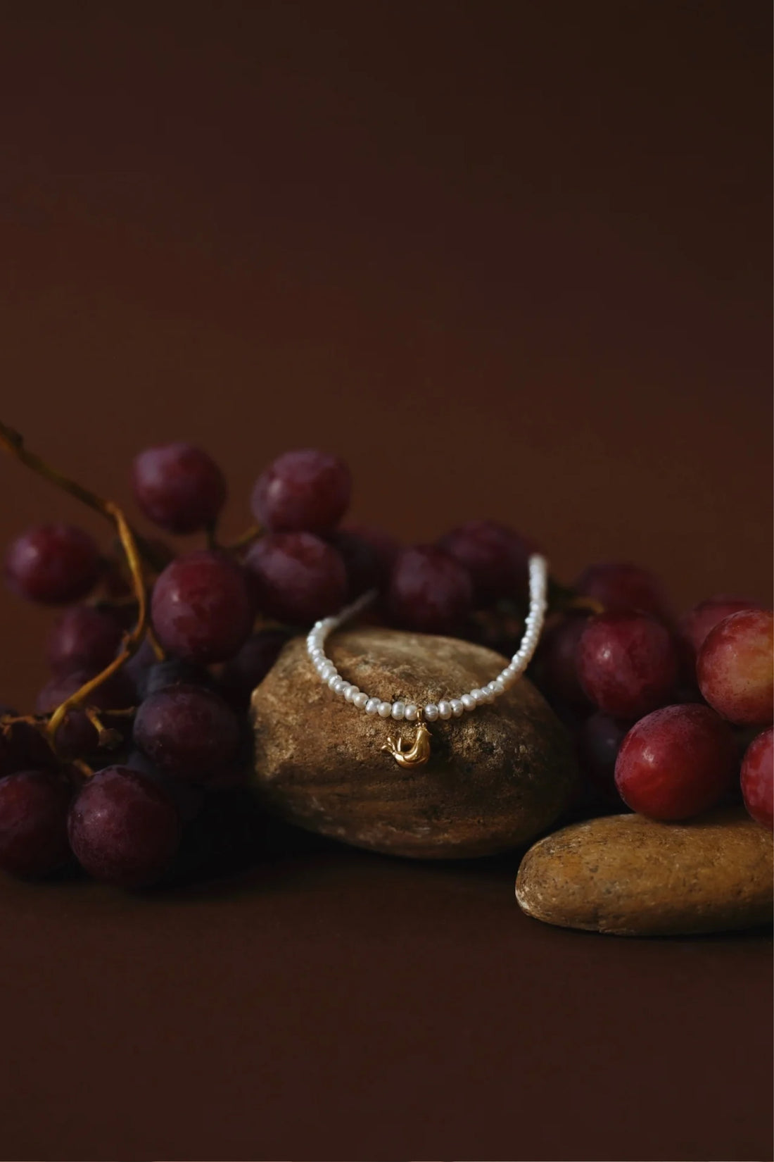 Ptashka Choker in silver