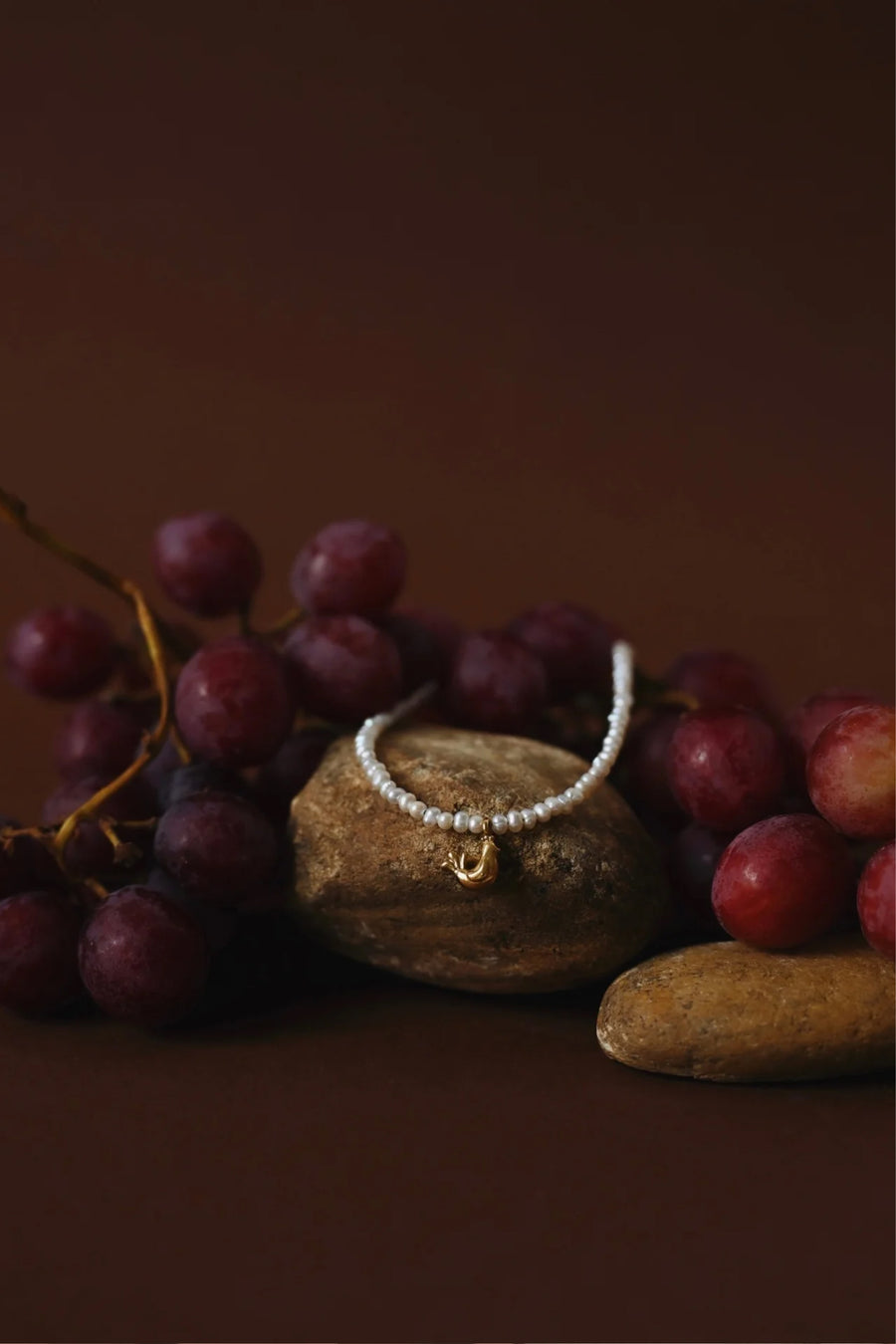 Ptashka Choker in silver
