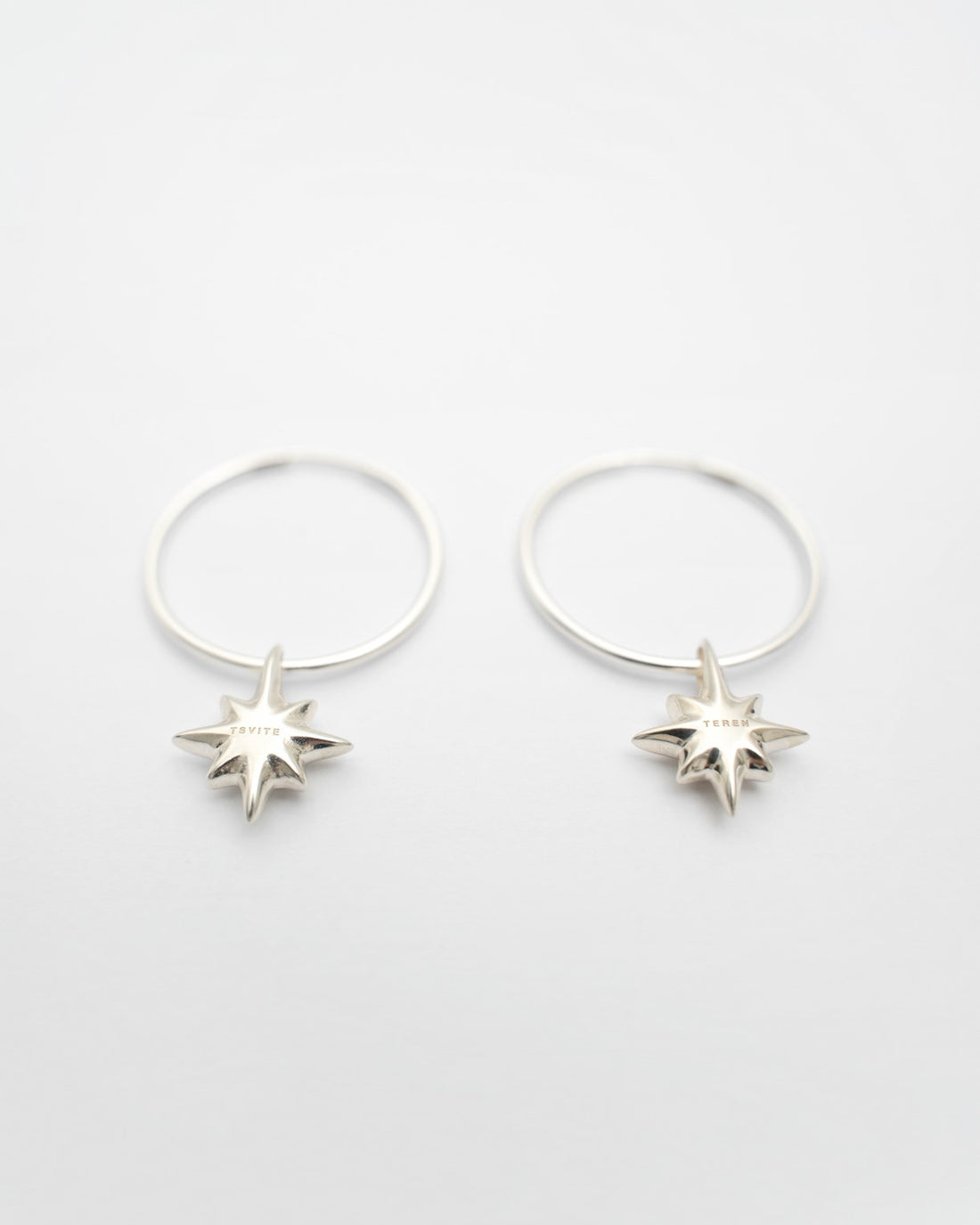 Drimota Earrings in Silver