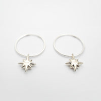 Drimota Earrings in Silver