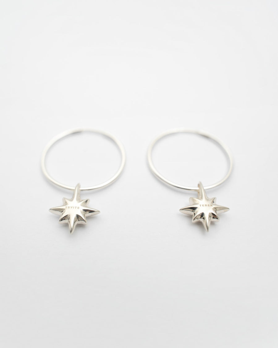 Drimota Earrings in Silver