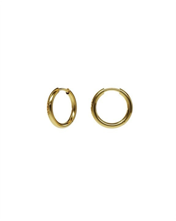Hoop Earrings in gold