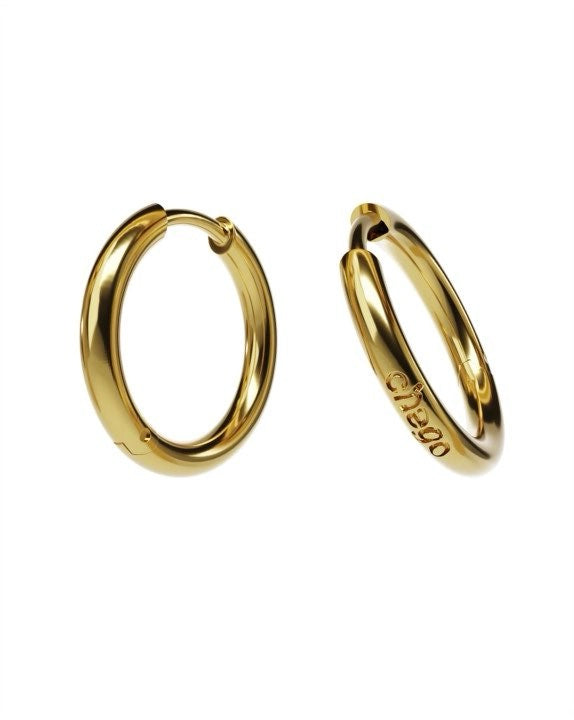 Hoop Earrings in gold