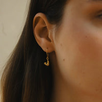 Earrings Ptashka