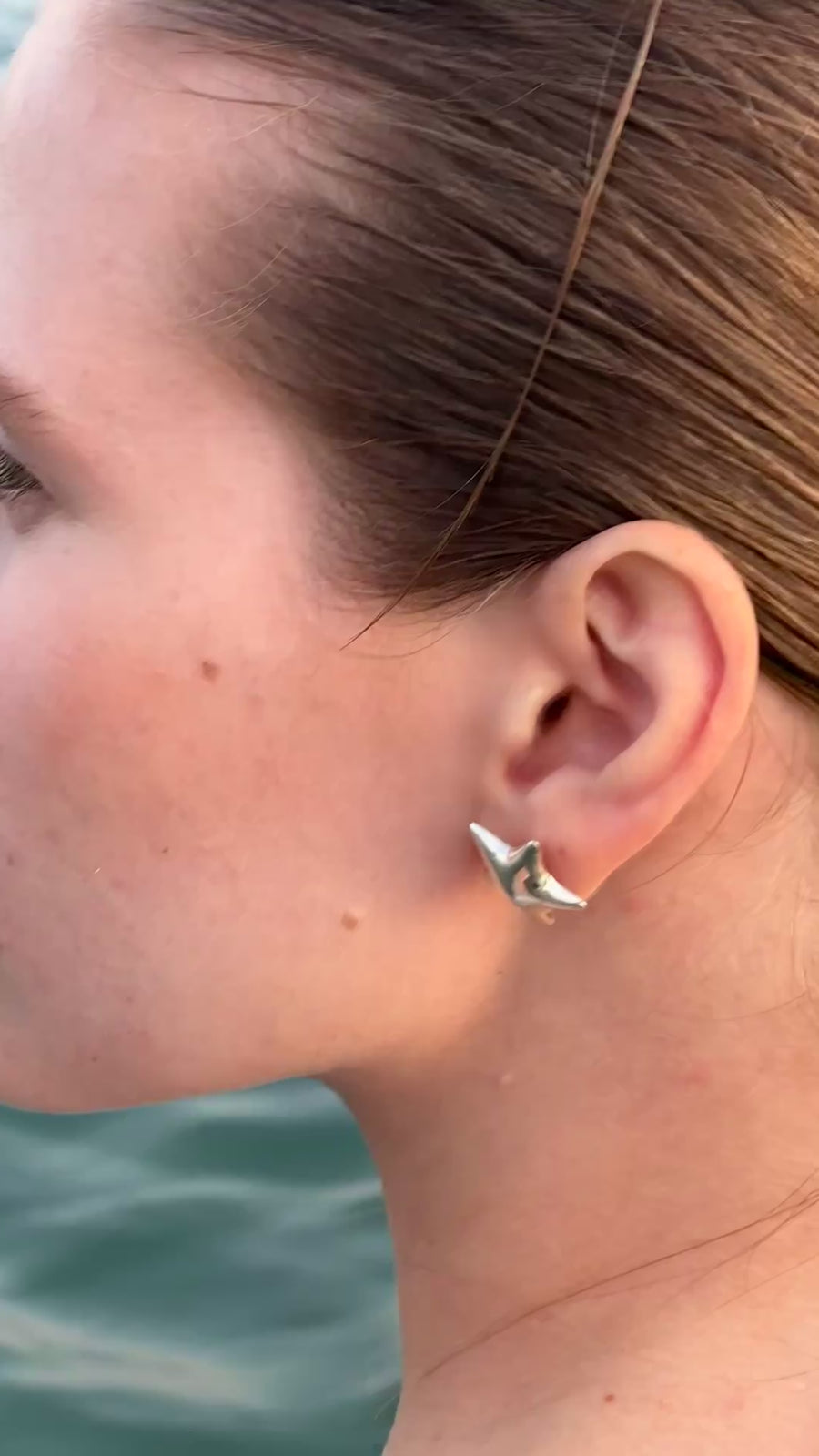 Star Earrings