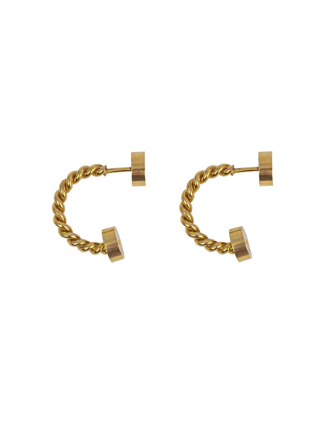 Hryvna earrings